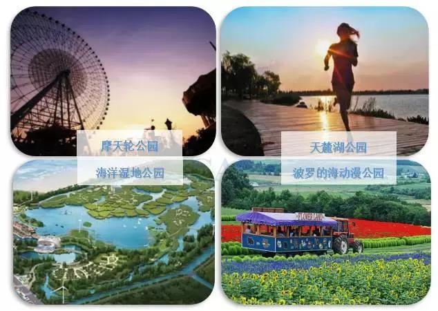 广东何宁卡全面指南，最新动态、申请与使用的步骤详解
