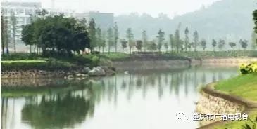 洪湖李景慧科技新品引领智能生活新纪元，最新消息震撼登场！