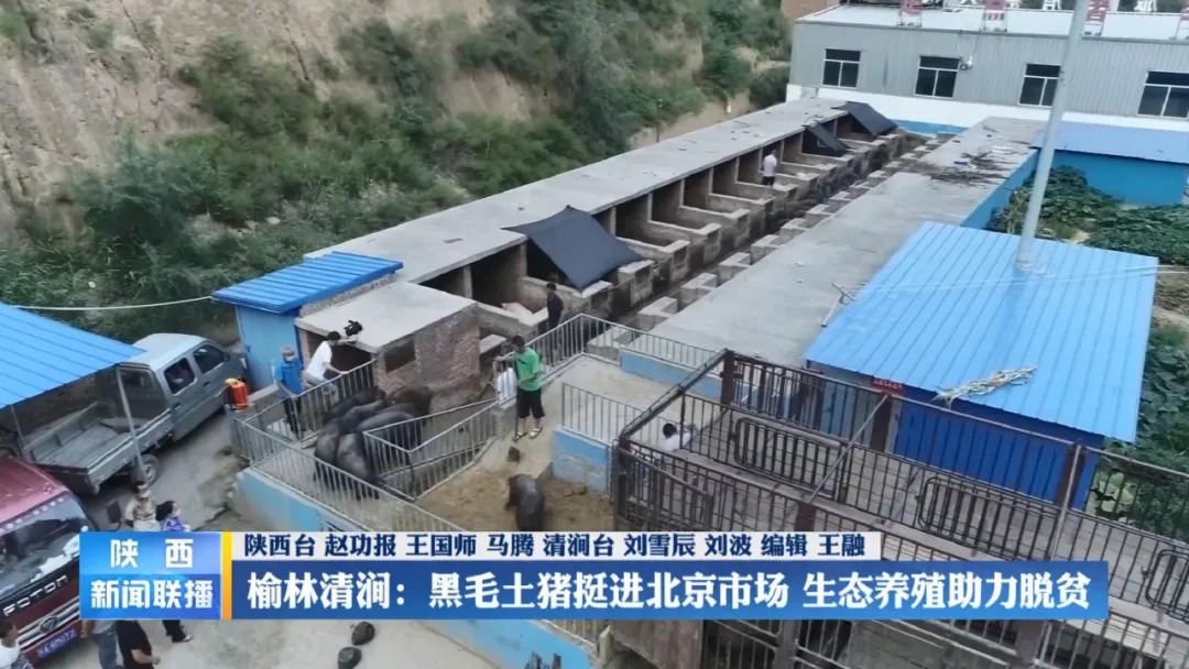 榆林新闻网最新联播，地方新闻传播优劣分析