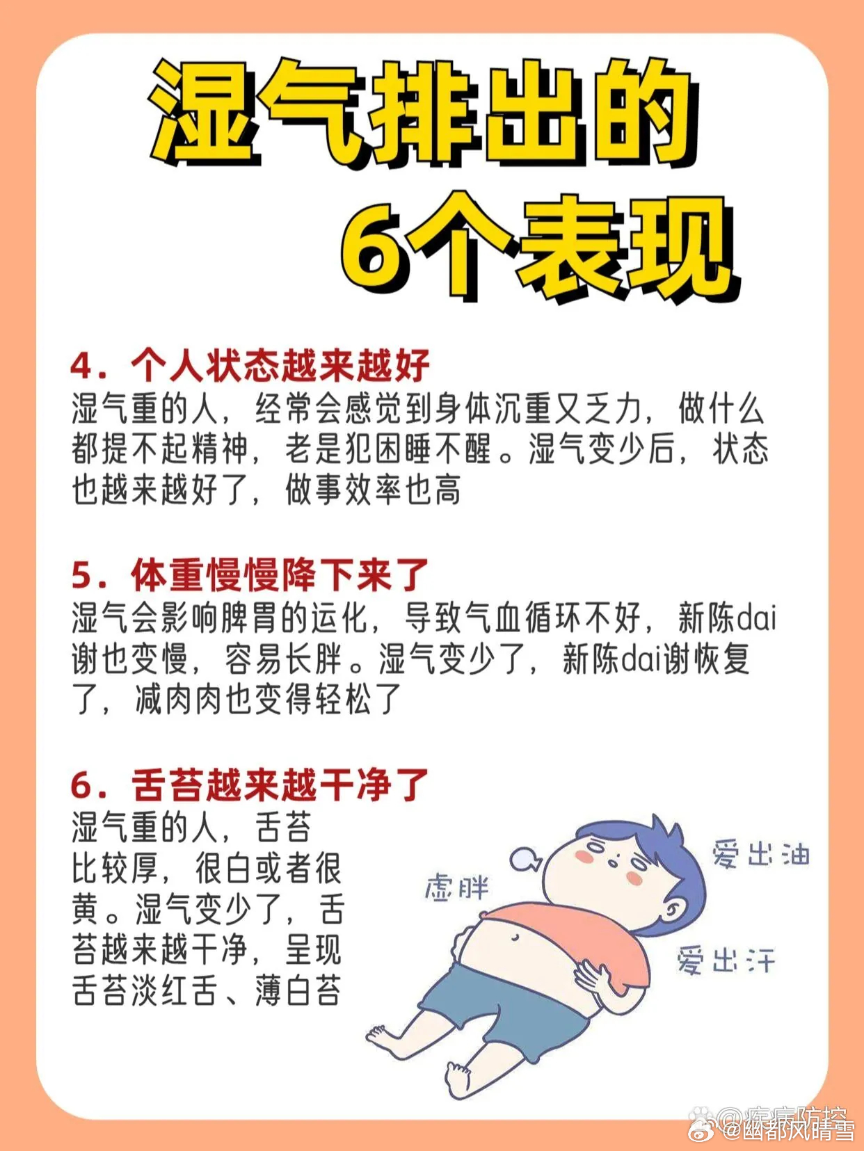 最新湿气探秘，小巷中的隐秘宝藏