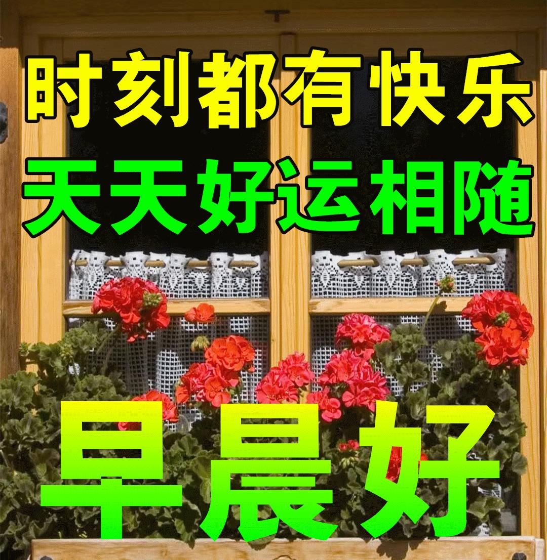 西行最新，旅途日常的乐趣与温馨
