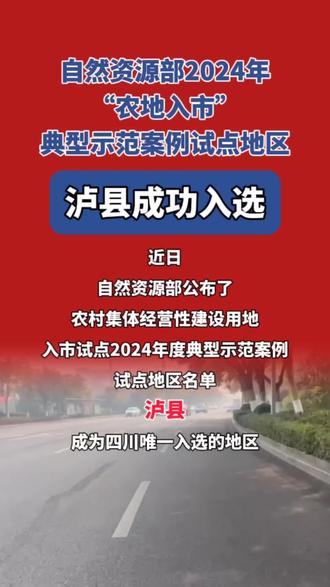 泸州最新试点，小巷深处的独特风味探索